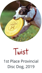 Twist 1st Place Provincial Disc Dog, 2019