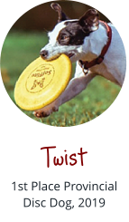 Twist 1st Place Provincial Disc Dog, 2019