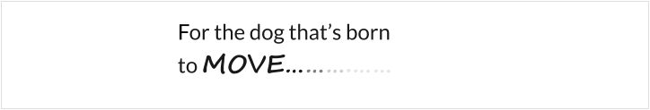 For the dog that’s born  to MOVE……….……
