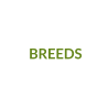 BREEDS