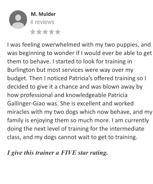 I was feeling owerwhelmed with my two puppies, and was beginning to wonder if I would ever be able to get them to behave. I started to look for training in Burlington but most services were way over my budget. Then I noticed Patricia’s offered training so I decided to give it a chance and was blown away by how professional and knowledgeable Patricia Gallinger-Giao was. She is excellent and worked miracles with my two dogs which now behave, and my family is enjoying them so much more. I am currently doing the next level of training for the intermediate class, and my dogs cannot wait to get to training.   I give this trainer a FIVE star rating.